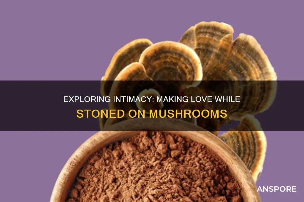can you make love stoned on mushrooms