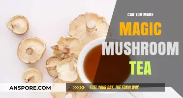Brewing Magic: How to Make Psychedelic Mushroom Tea Safely
