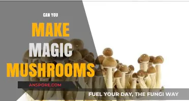 Cultivating Psilocybin: The Art of Growing Magic Mushrooms at Home