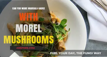 Crafting Marsala Sauce with Morel Mushrooms: A Culinary Adventure