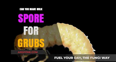 How to Create Milk Spore for Effective Grub Control in Lawns