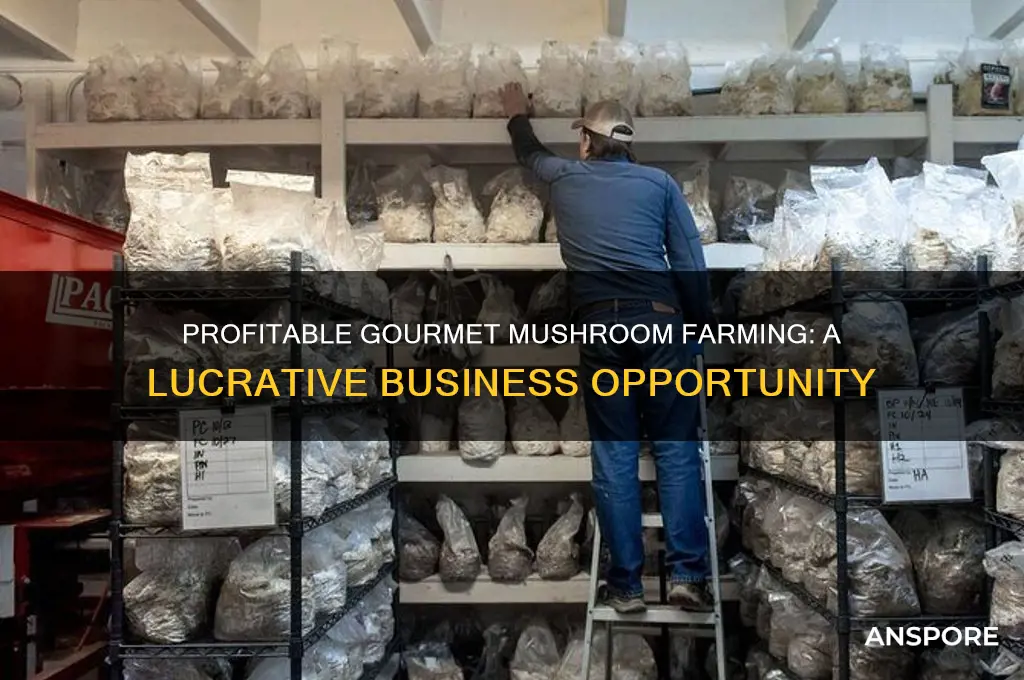 can you make money growing gourmet mushrooms