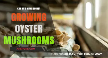 Profitable Oyster Mushroom Farming: A Beginner's Guide to Earning Income