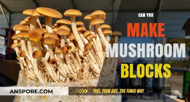 Crafting Mushroom Blocks: A Step-by-Step Guide for DIY Enthusiasts