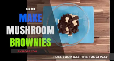 Magic Mushroom Brownies: Can You Bake This Psychedelic Treat?