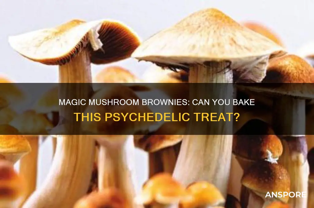 can you make mushroom brownies