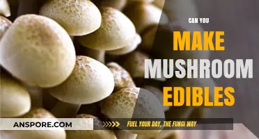 Crafting Mushroom Edibles: A Beginner's Guide to Safe Preparation
