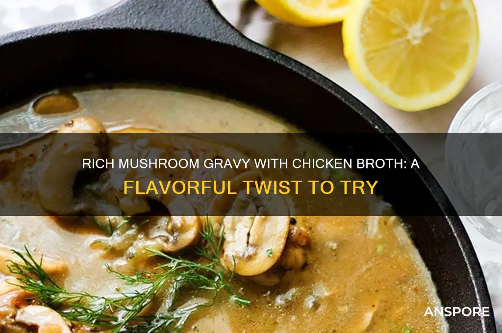 can you make mushroom gravy with chicken broth