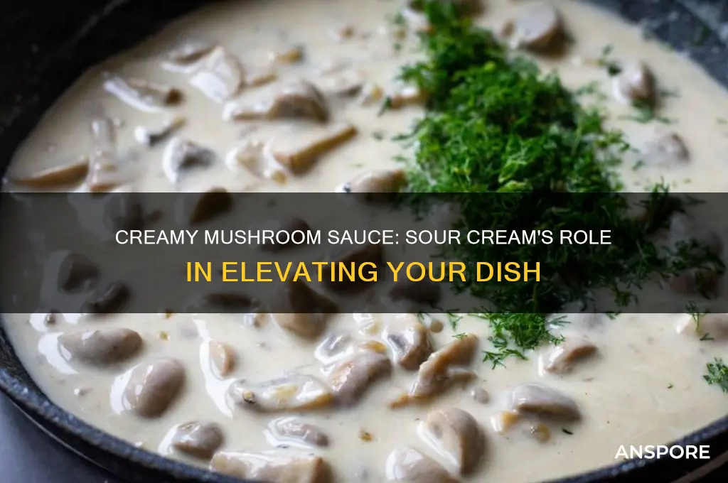 can you make mushroom sauce with sour cream