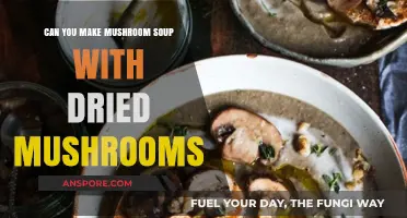 Delicious Dried Mushroom Soup: A Flavorful Recipe to Try