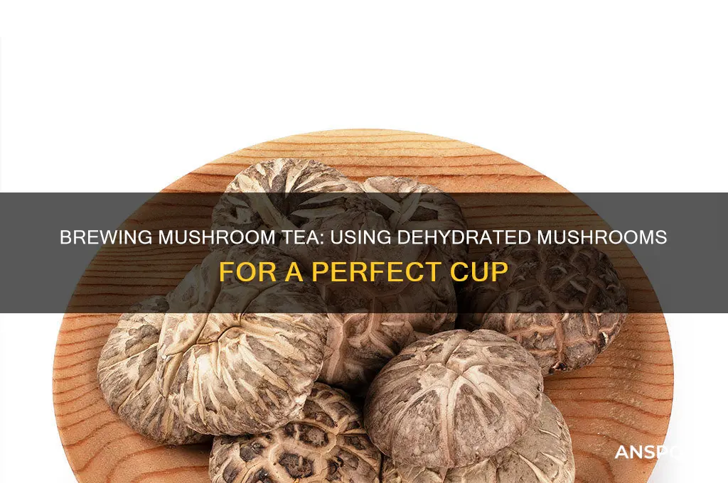 can you make mushroom tea with dehydrated mushrooms