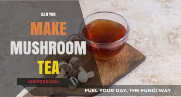 Brewing Mushroom Tea: A Simple Guide to Making This Healthy Beverage
