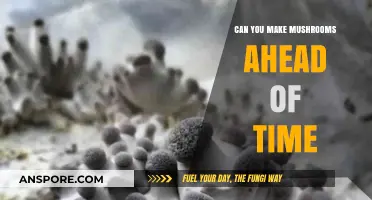 Prepping Mushrooms Ahead: Tips for Perfectly Stored and Ready-to-Cook Fungi