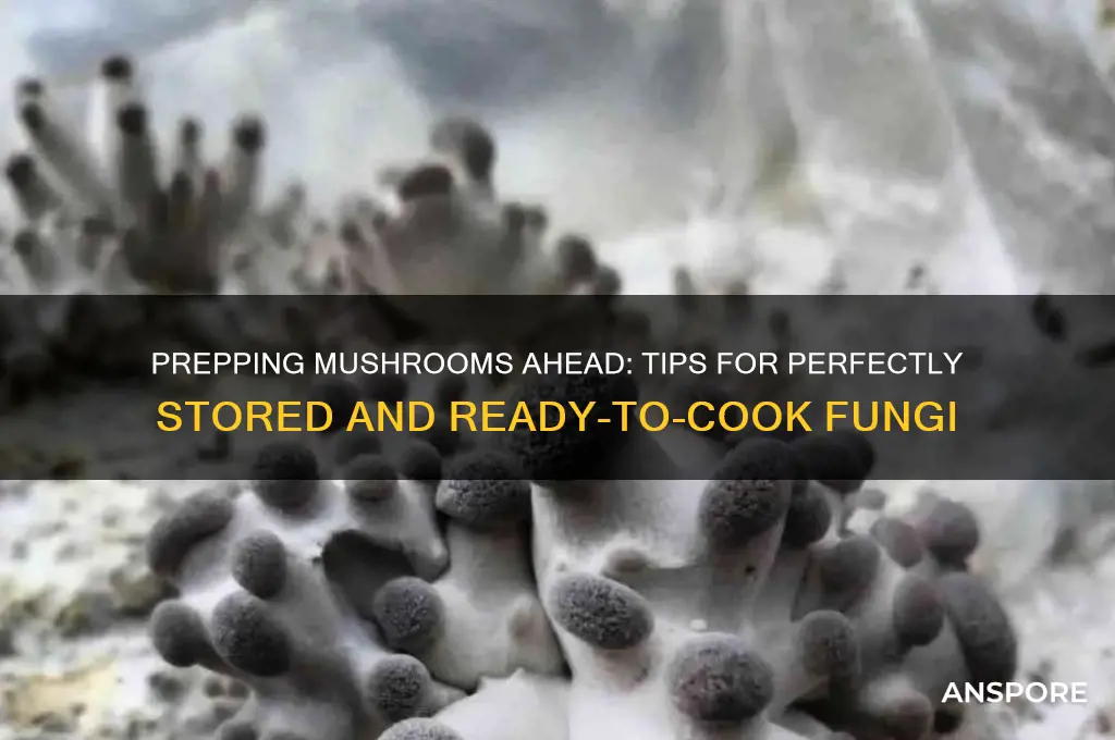 can you make mushrooms ahead of time