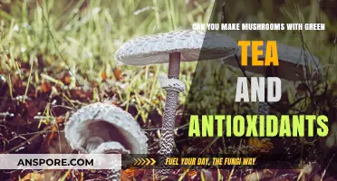 Green Tea and Antioxidants: Enhancing Mushroom Cultivation for Health Benefits