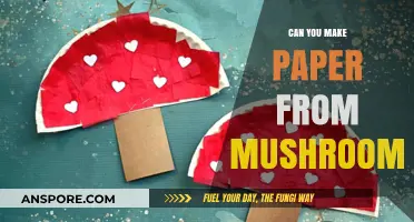 Eco-Friendly Innovation: Crafting Sustainable Paper from Mushrooms