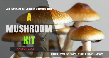 Growing Psychedelic Mushrooms at Home: Is a Kit the Answer?