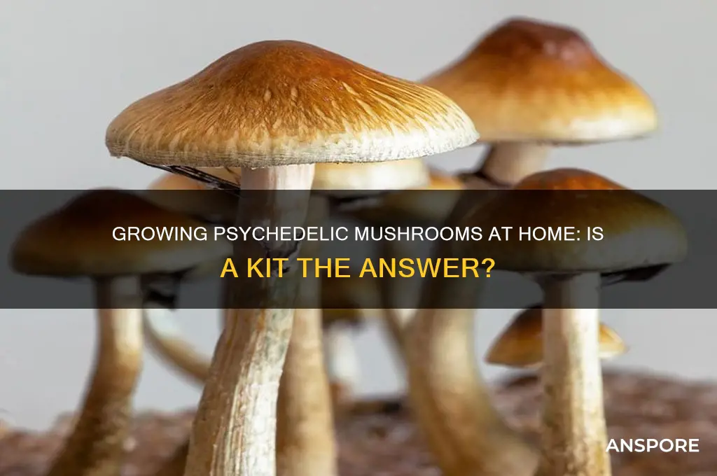 can you make psychedelic shrooms with a mushroom kit