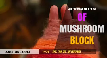 Crafting Red Dye: Mushroom Block's Surprising Potential Revealed