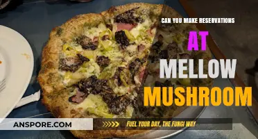 How to Reserve a Table at Mellow Mushroom: A Quick Guide