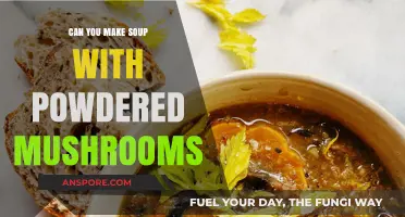 Powdered Mushrooms in Soup: A Flavorful, Convenient Culinary Hack
