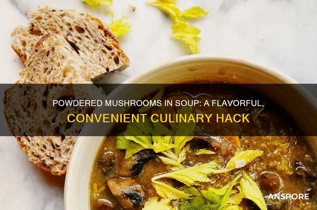 can you make soup with powdered mushrooms