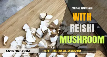 Reishi Mushroom Soup: Nutritional Benefits and Easy Recipe Ideas