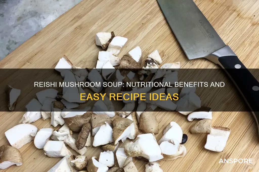 can you make soup with reishi mushroom