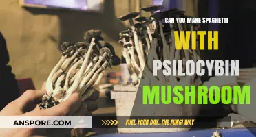 Psychedelic Spaghetti: Cooking with Psilocybin Mushrooms - Safe or Risky?
