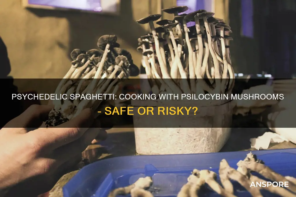 can you make spaghetti with psilocybin mushrooms