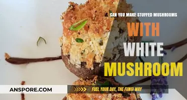 Delicious Stuffed Mushrooms: Can White Mushrooms Be the Perfect Base?