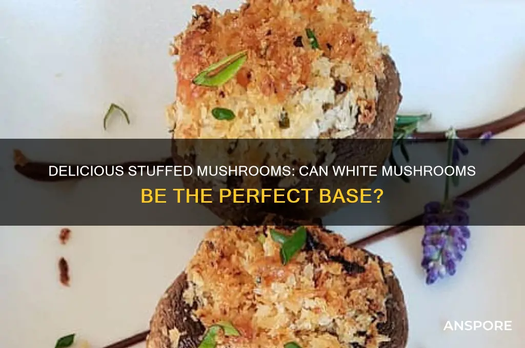 can you make stuffed mushrooms with white mushrooms