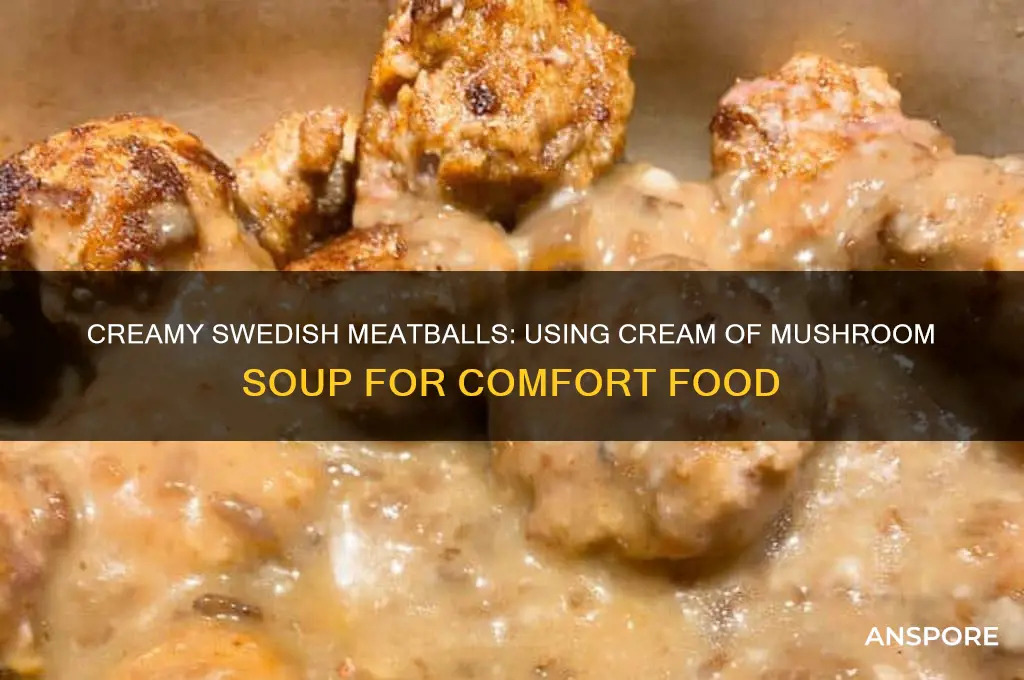 can you make swedish meatballs with cream of mushroom soup