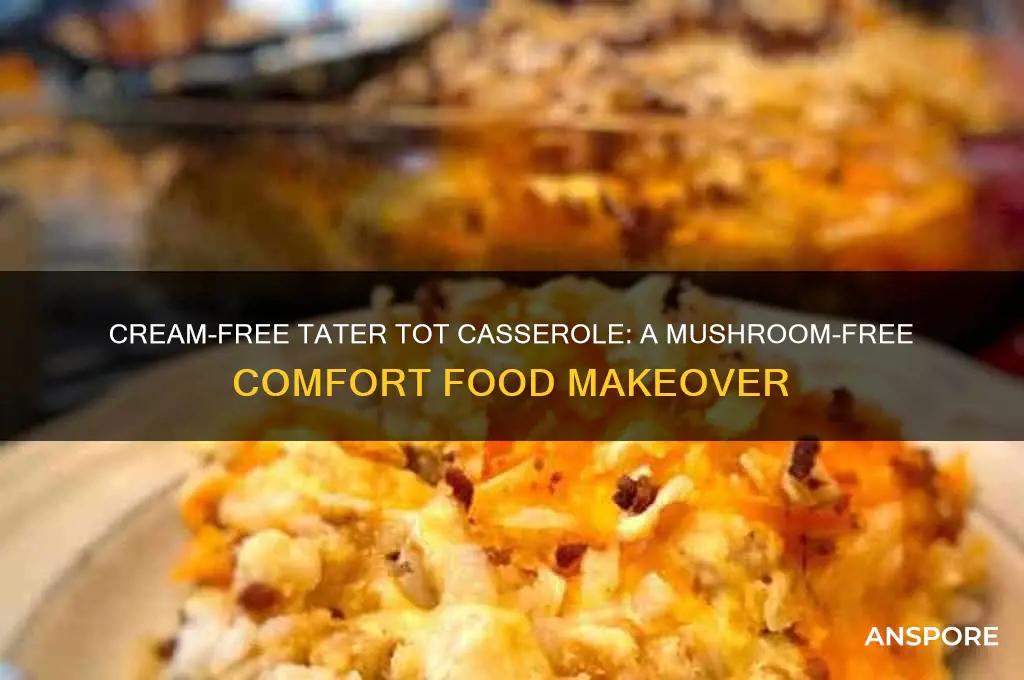 can you make tater tot casserole without cream of mushroom