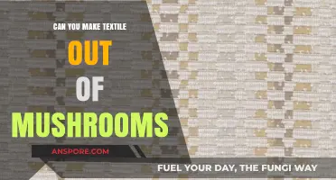 Mushroom Textiles: Unveiling the Eco-Friendly Future of Sustainable Fabrics