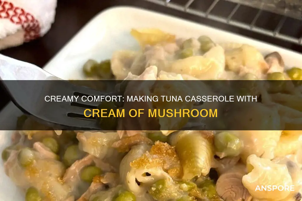 can you make tuna casserole with cream of mushroom