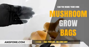 DIY Mushroom Grow Bags: A Step-by-Step Guide to Homemade Cultivation