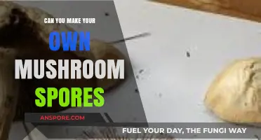 DIY Mushroom Spores: A Guide to Cultivating Your Own Spores