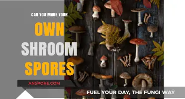 DIY Shroom Spores: A Guide to Cultivating Your Own Mushroom Spores