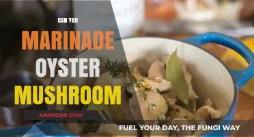 Marinating Oyster Mushrooms: Tips, Tricks, and Flavorful Recipes to Try