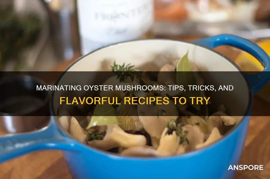 can you marinade oyster mushroom