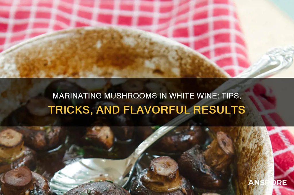 can you marinate mushrooms marinate mushrooms in white wine
