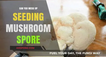 Avoiding Common Mistakes When Seeding Mushroom Spores: Expert Tips