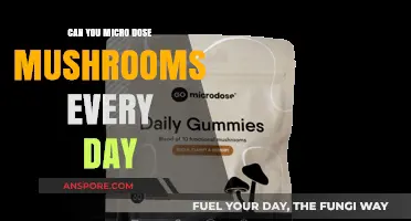 Daily Microdosing Mushrooms: Benefits, Risks, and What You Need to Know