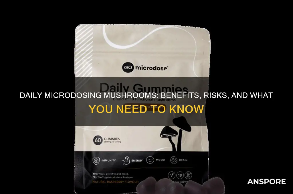 can you micro dose mushrooms every day