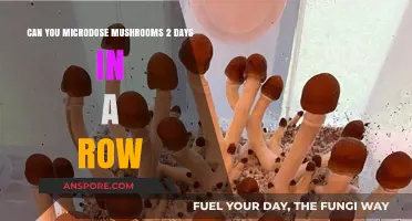 Microdosing Mushrooms Consecutively: Safe or Risky Practice?