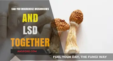 Combining Microdoses: Exploring Mushrooms and LSD Together Safely