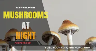 Microdosing Mushrooms at Night: Benefits, Risks, and Best Practices