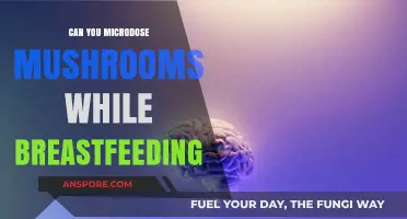 Microdosing Mushrooms and Breastfeeding: Safety Concerns and Risks Explained