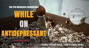 Microdosing Mushrooms on Antidepressants: Risks, Benefits, and Safety Concerns